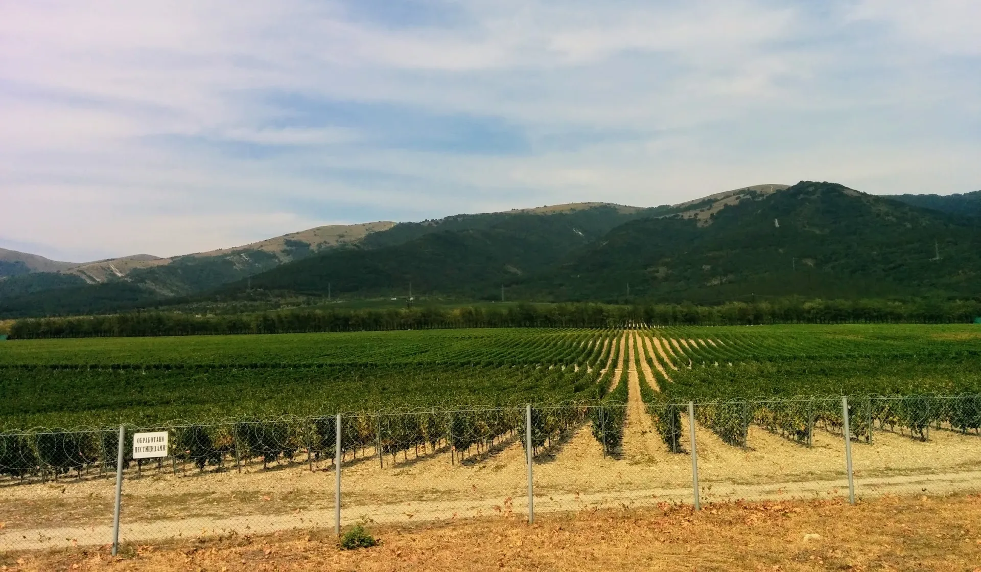 Поля Краснодарского края